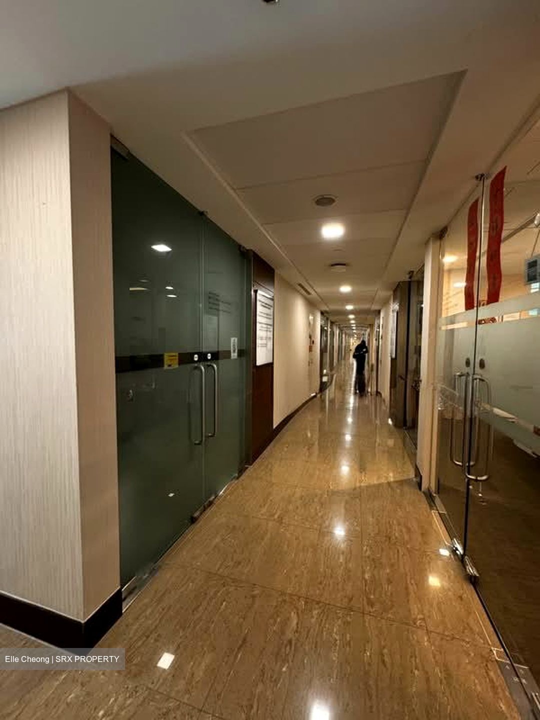 Mount Elizabeth Novena Hospital (D12), Retail #585971761